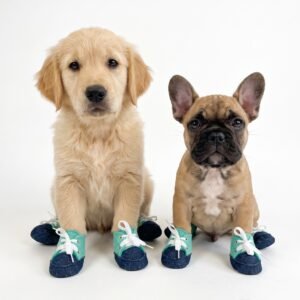 Zapatos Protecciones Babus