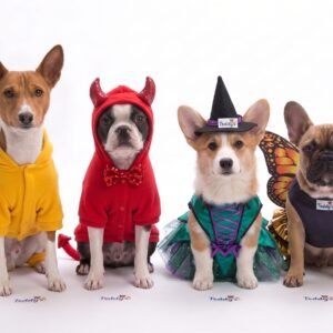Disfraz de Fantasía y Temporada (Bruja, Mariposa, Diablito, Dinosaurio)