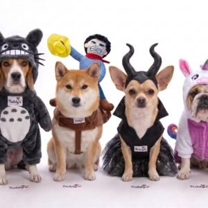 Disfraz de Caracterización Especial (Jinete, Maléfica, Unicornio, Totoro)